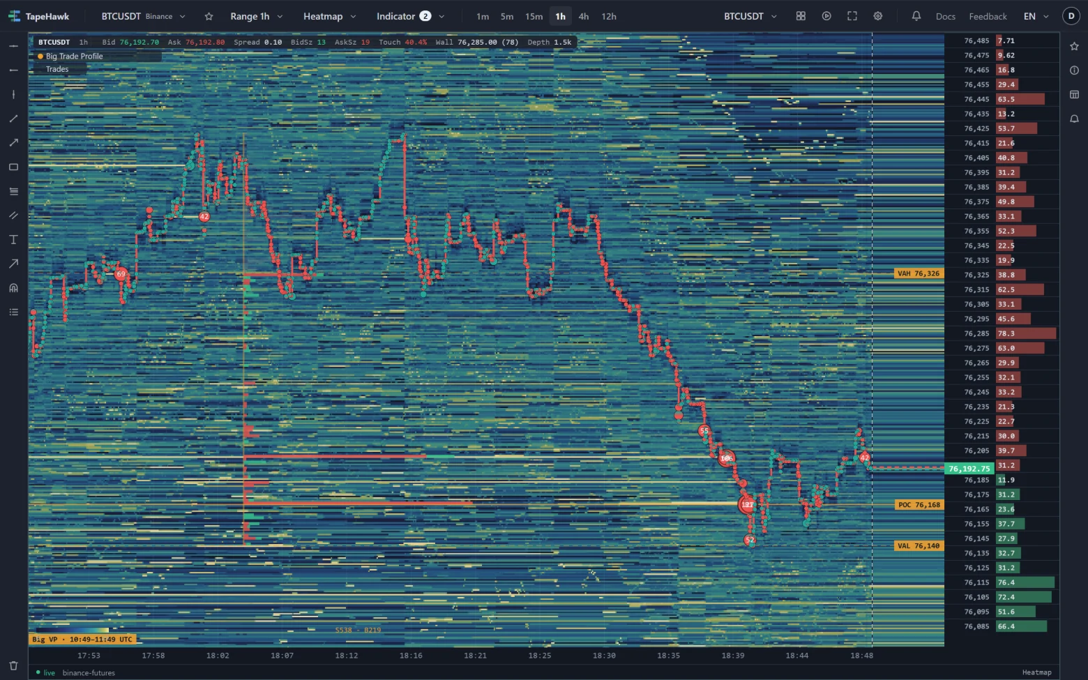 A BTCUSDT heatmap on a 1h range with the Big Trade Profile histogram down the price axis.